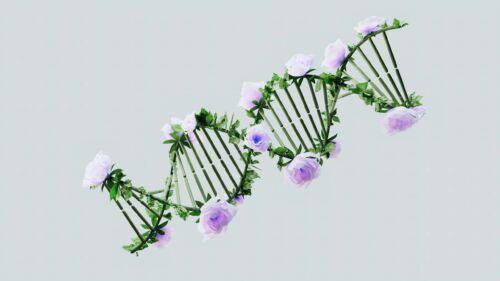 Debunking the Myths: Is Bipolar Disorder Genetic?